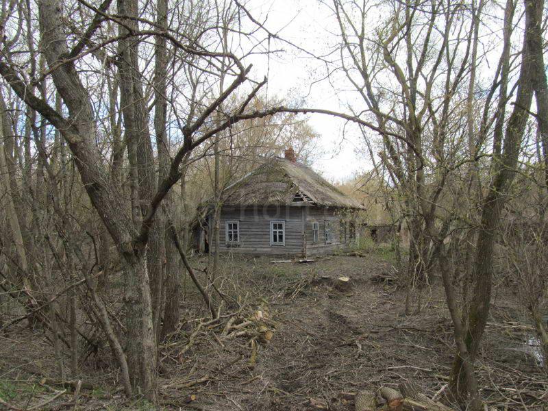 Острогляды (Беларусь)
