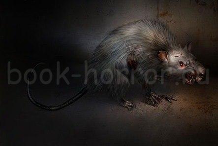 Кладбищенские крысы