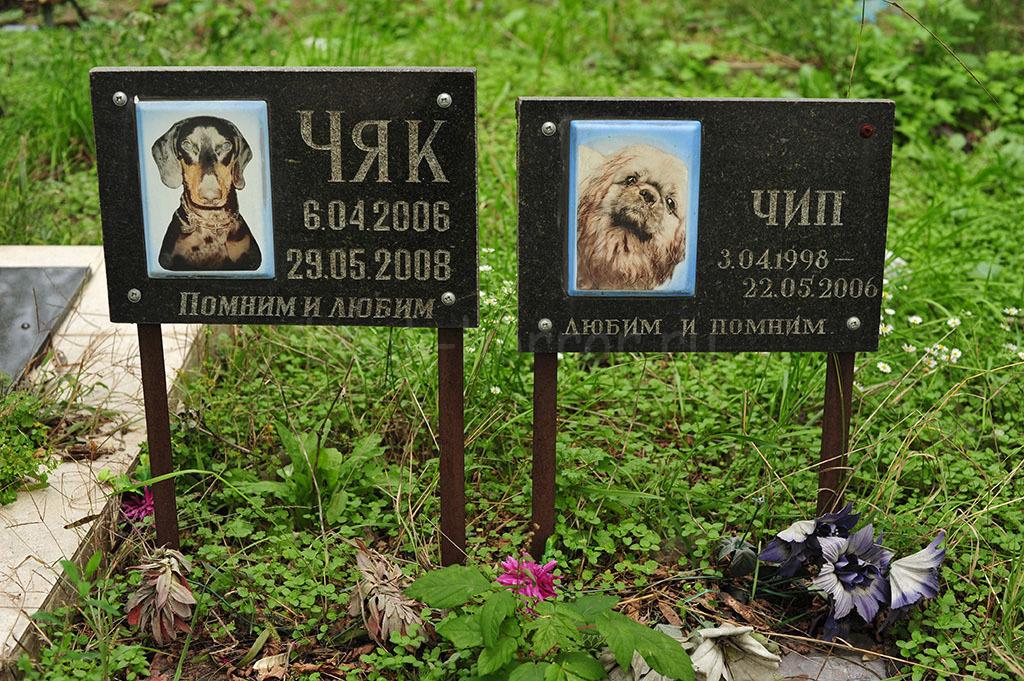 Кладбище домашних животных. Часть-11