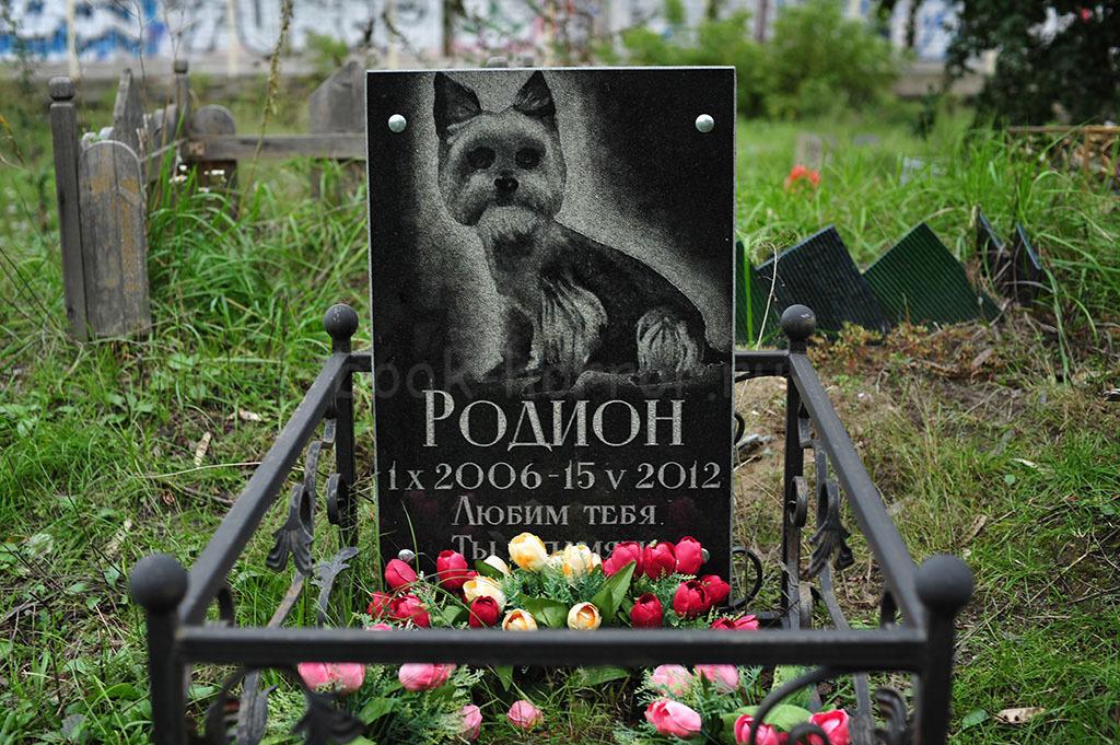 Кладбище домашних животных. Часть-4