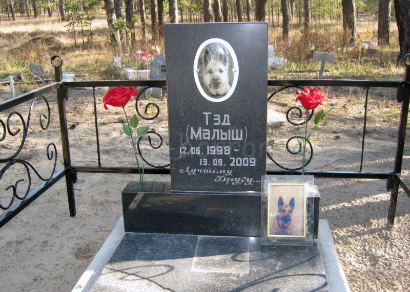 Кладбище домашних животных. Часть-12