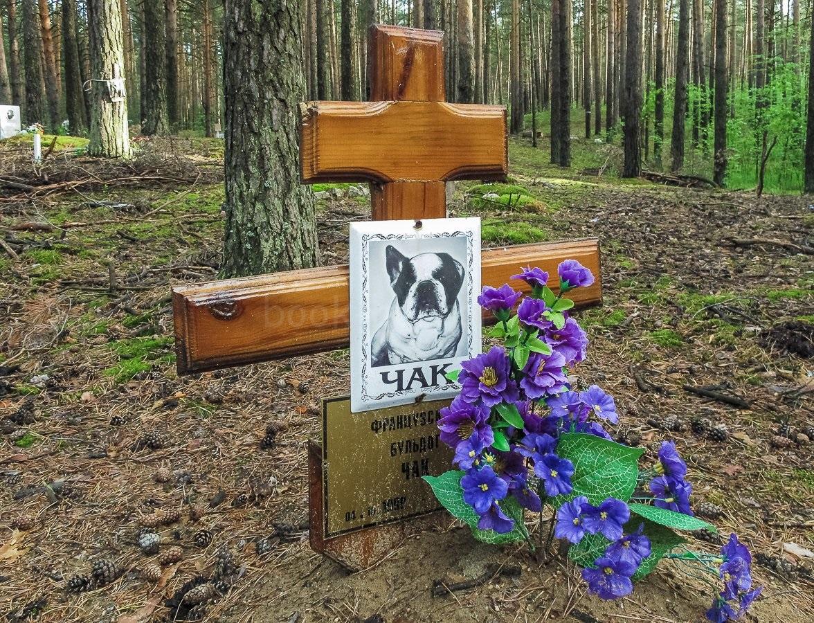 Кладбище домашних животных. Часть-2