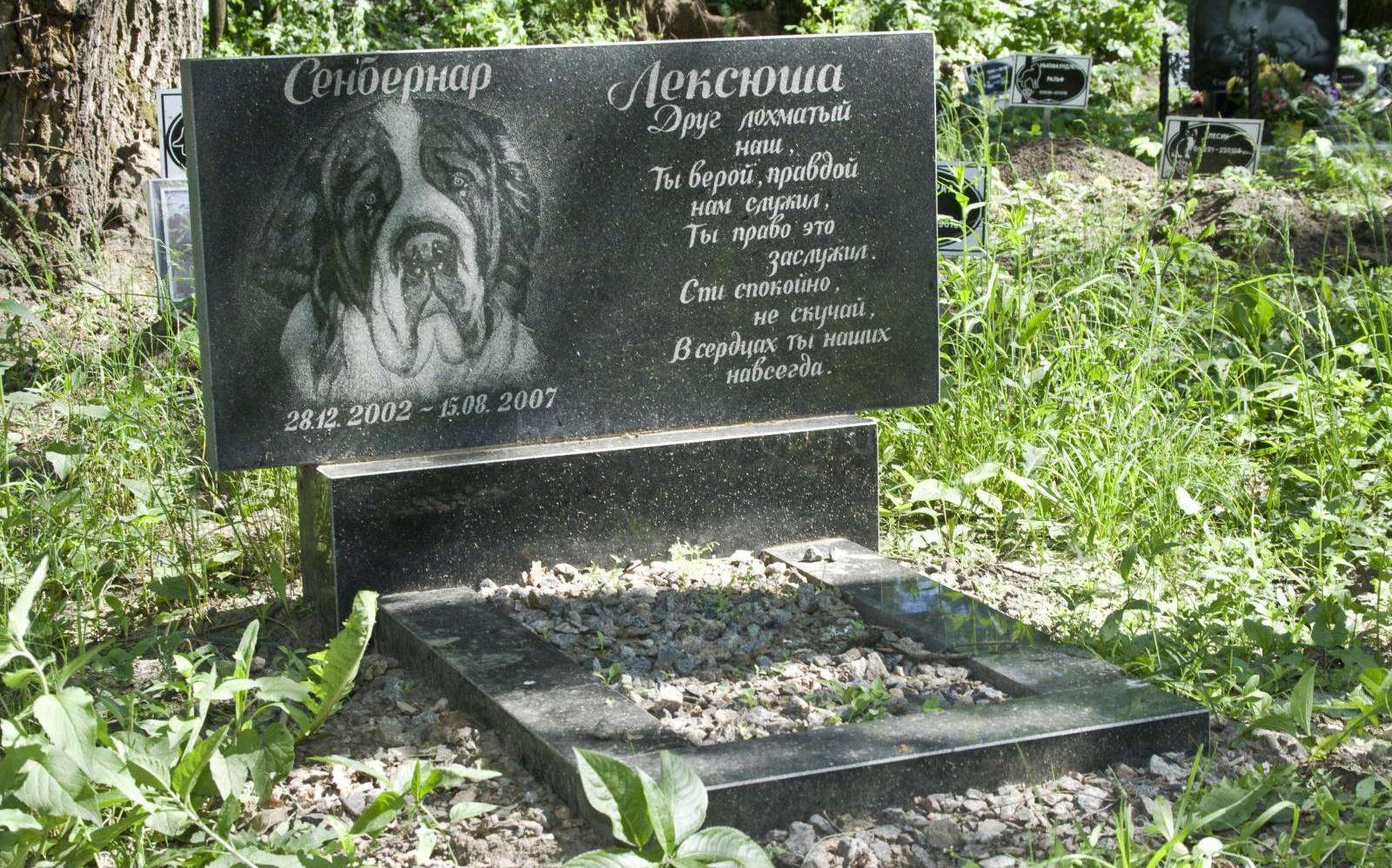 Кладбище домашних животных. Часть-9