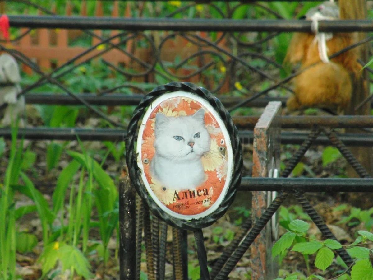 Кладбище домашних животных