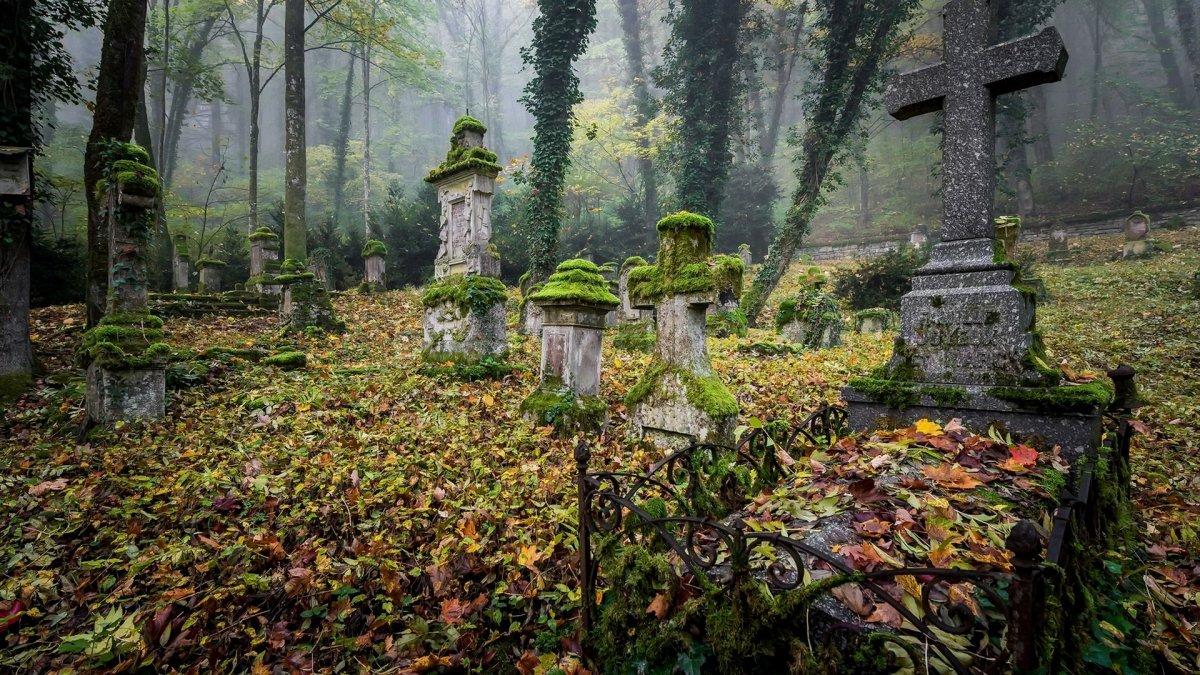 Введенское кладбище