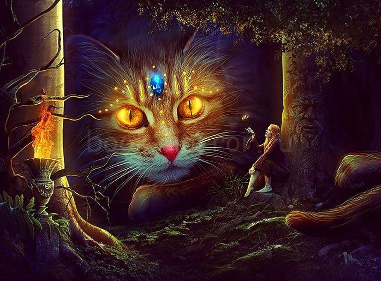Как кошка влияет на энергетику дома